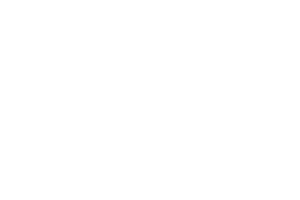 MINISTER CULTURE